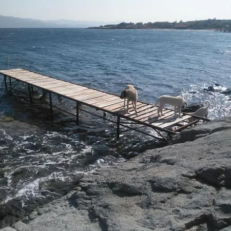 Assos Sivrice Deveboyun Misafir Evi Apartment Ayvacik (Canakkale)