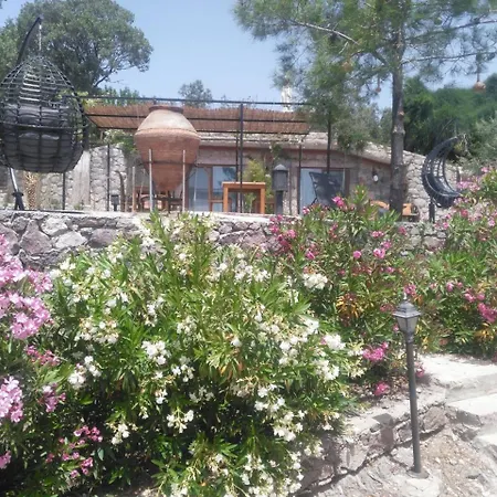 Apartment Assos Sivrice Deveboyun Misafir Evi