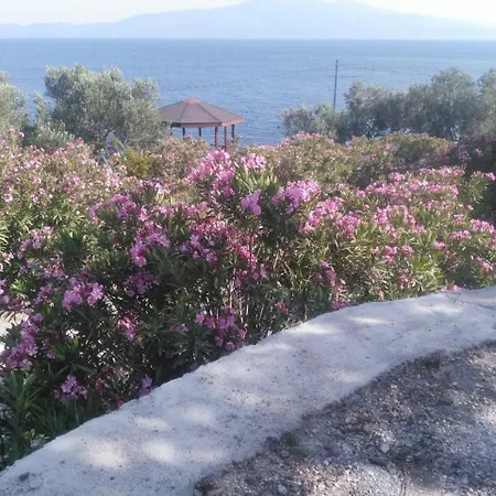 Assos Sivrice Deveboyun Misafir Evi Apartment Ayvacik (Canakkale)