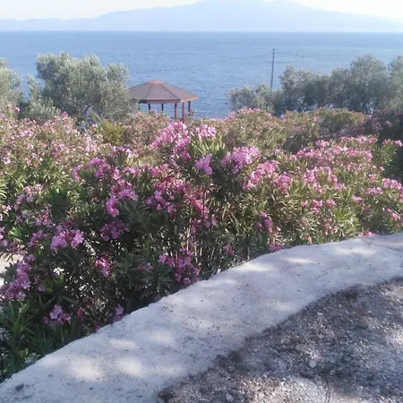 Assos Sivrice Deveboyun Misafir Evi Apartment Ayvacik