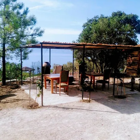 Assos Sivrice Deveboyun Misafir Evi *